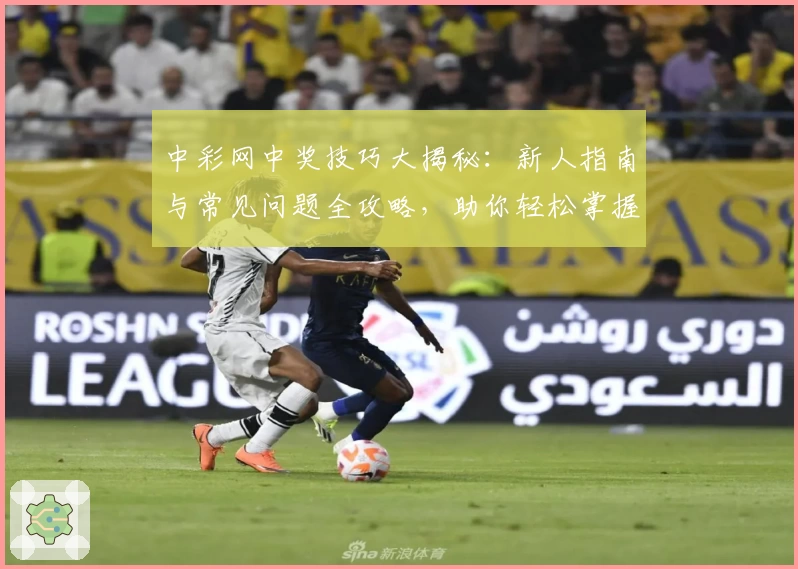 中彩网中奖技巧大揭秘：新人指南与常见问题全攻略，助你轻松掌握玩法秘诀