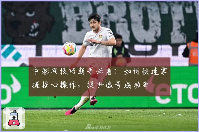 中彩网技巧新手必看：如何快速掌握核心操作，提升选号成功率