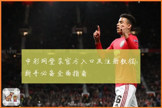 中彩网登录官方入口及注册教程，新手必备全面指南