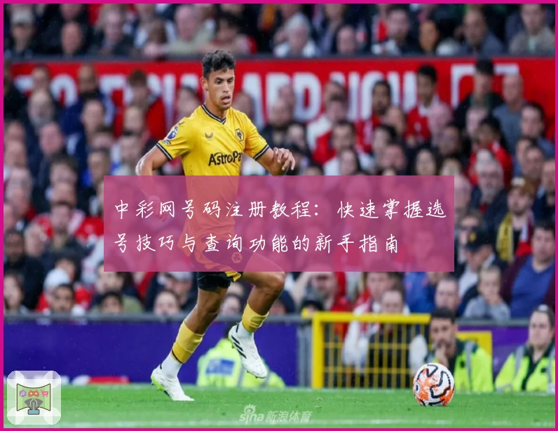 中彩网号码注册教程：快速掌握选号技巧与查询功能的新手指南