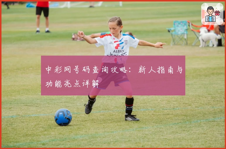 中彩网号码查询攻略：新人指南与功能亮点详解